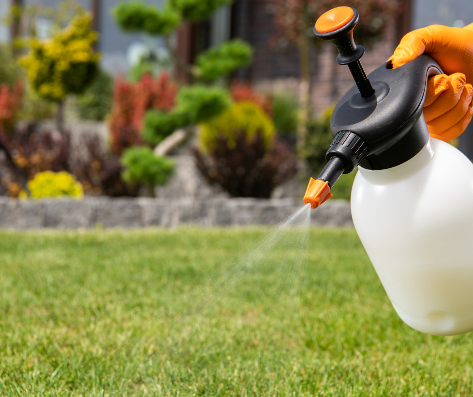 EPA Finalizes Cancellation Of The Pesticide Dacthal